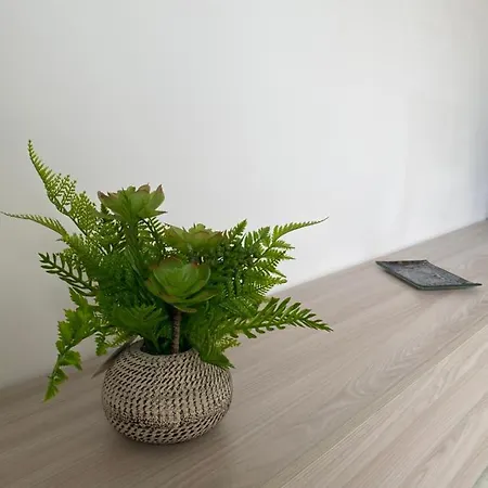 Sole, Mare E Trallalla