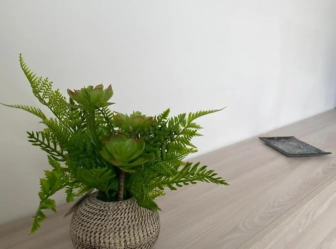 Sole, Mare E Trallalla